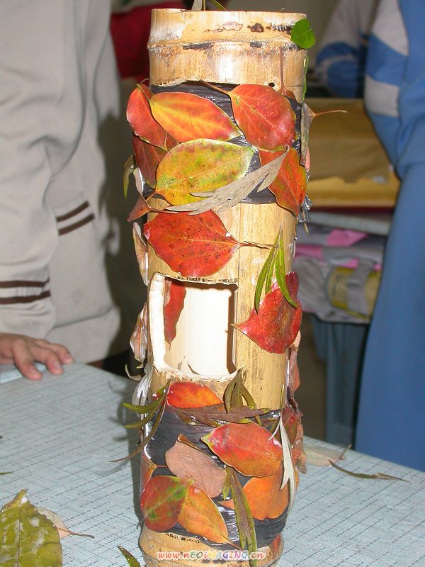 �д���ɣ����滹ճ����ҶŶ