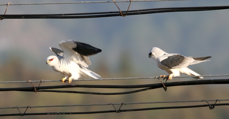 IMG_8700ڳ.jpg