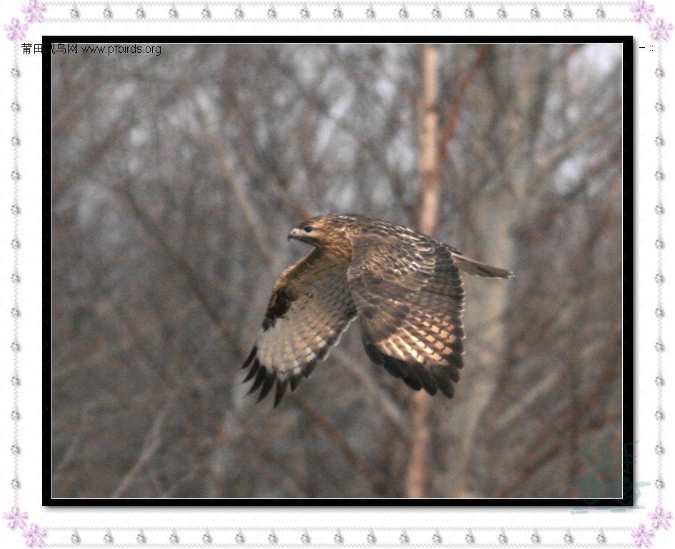 [ԭ]20061212-13йѩ