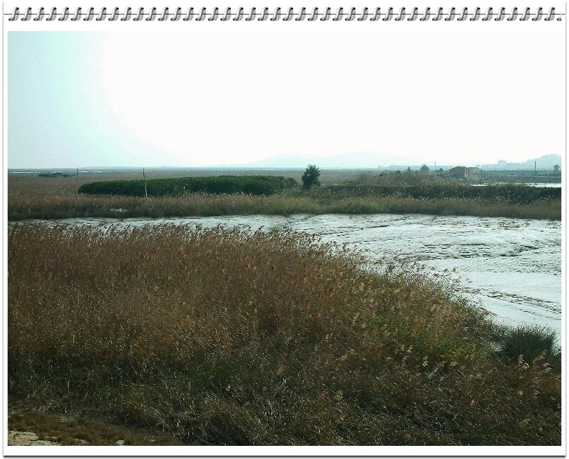 200622̲Ƭ