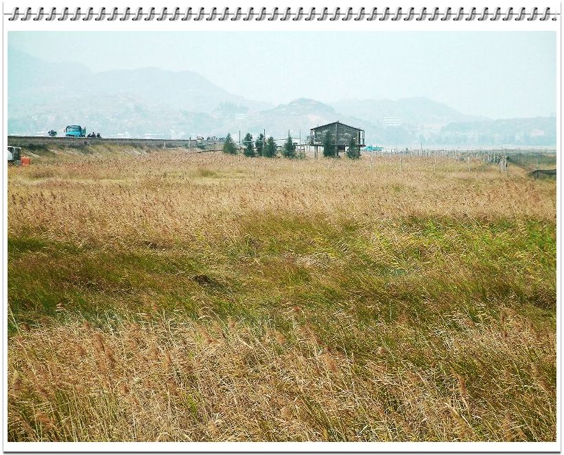 200622̲Ƭ