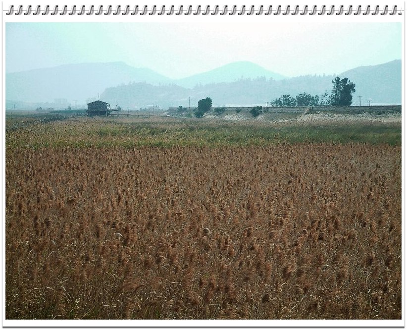 200622̲Ƭ