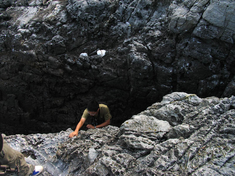 ��˵�е����ص����������񵺿�����У����أ�