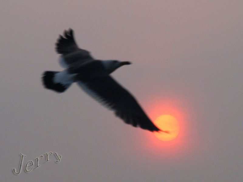 ��˵�е����ص����������񵺿�����У����أ�