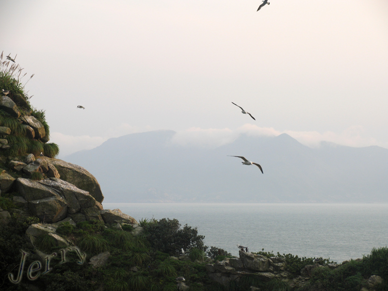 ��˵�е����ص����������񵺿�����У����أ�