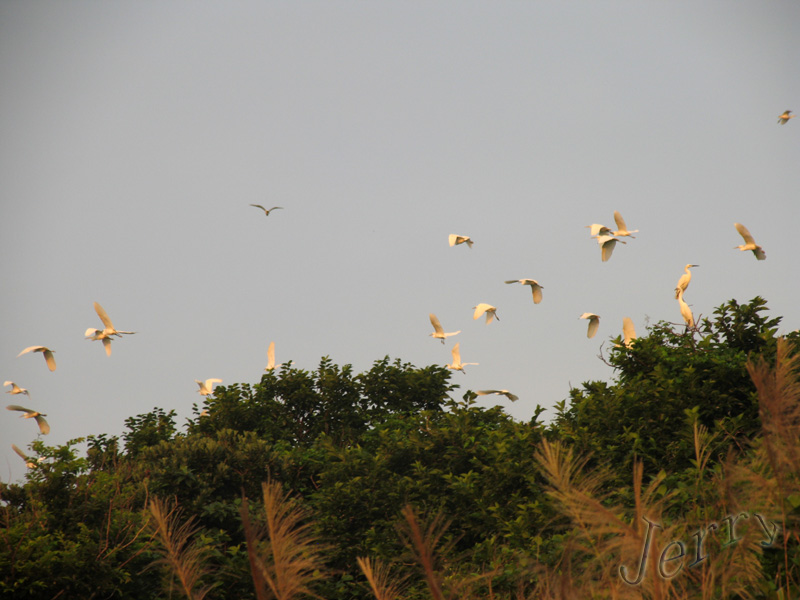 ��˵�е����ص����������񵺿�����У����أ�