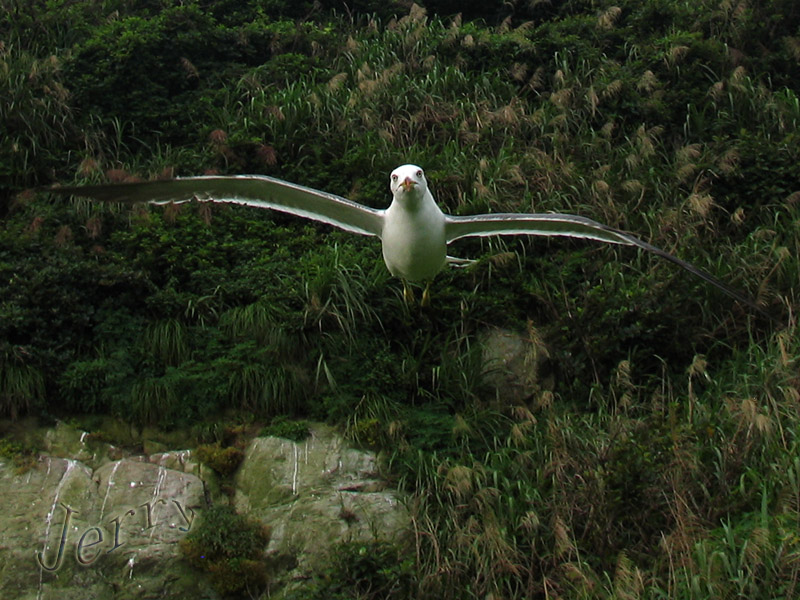 ��˵�е����ص����������񵺿�����У����أ�