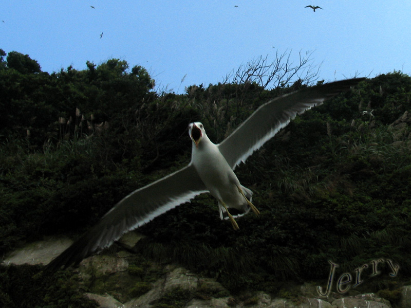 ��˵�е����ص����������񵺿�����У����أ�