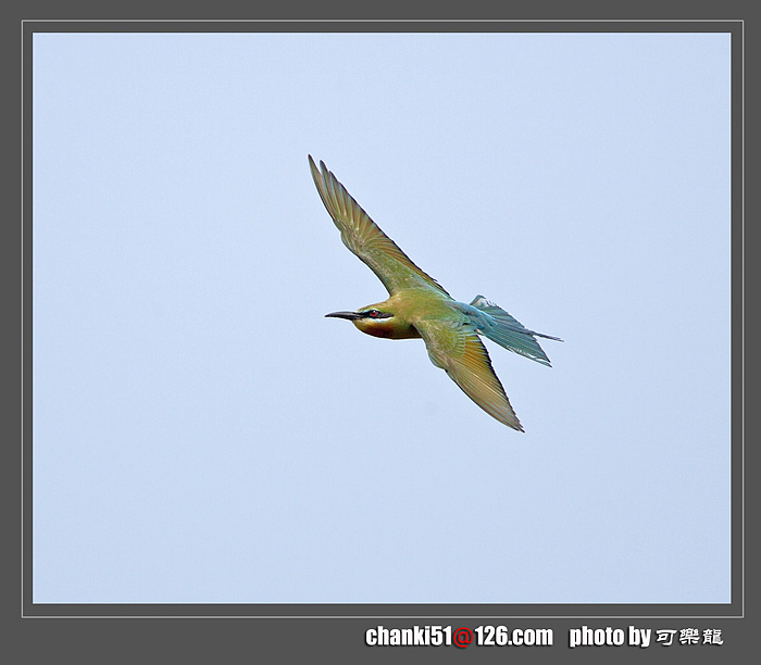 CKI_1489-ok.jpg