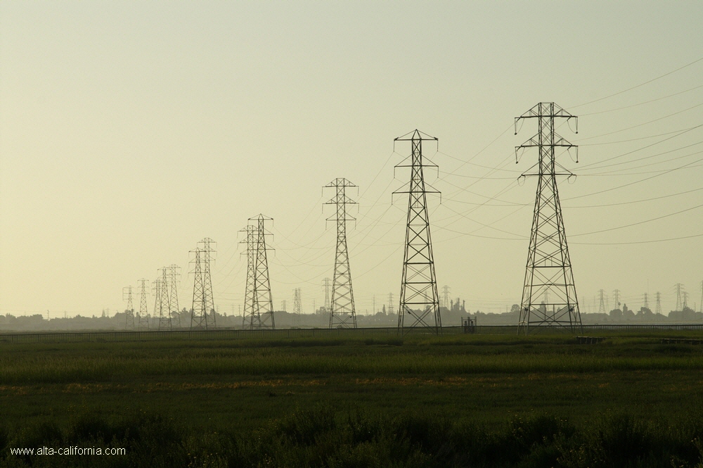 bayland006.jpg