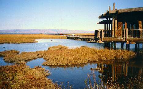 bayland001.jpg