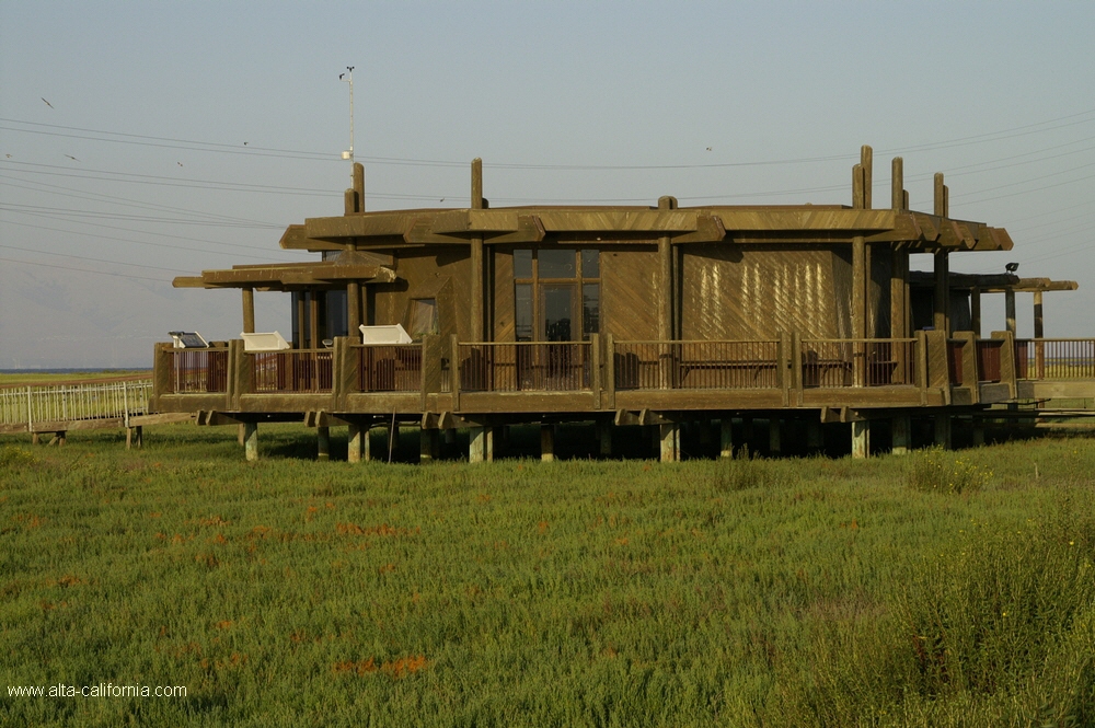 bayland001.jpg