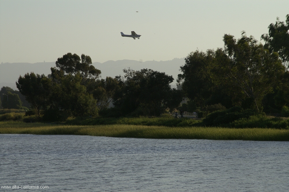 bayland003.jpg