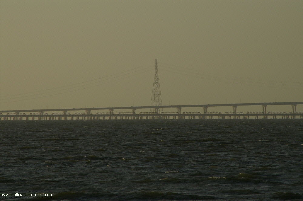 bayland004.jpg