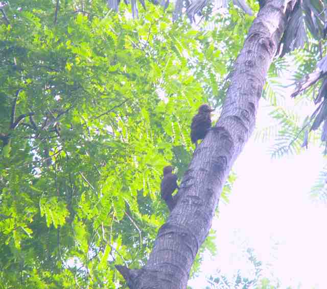 PICT4928-1.jpg