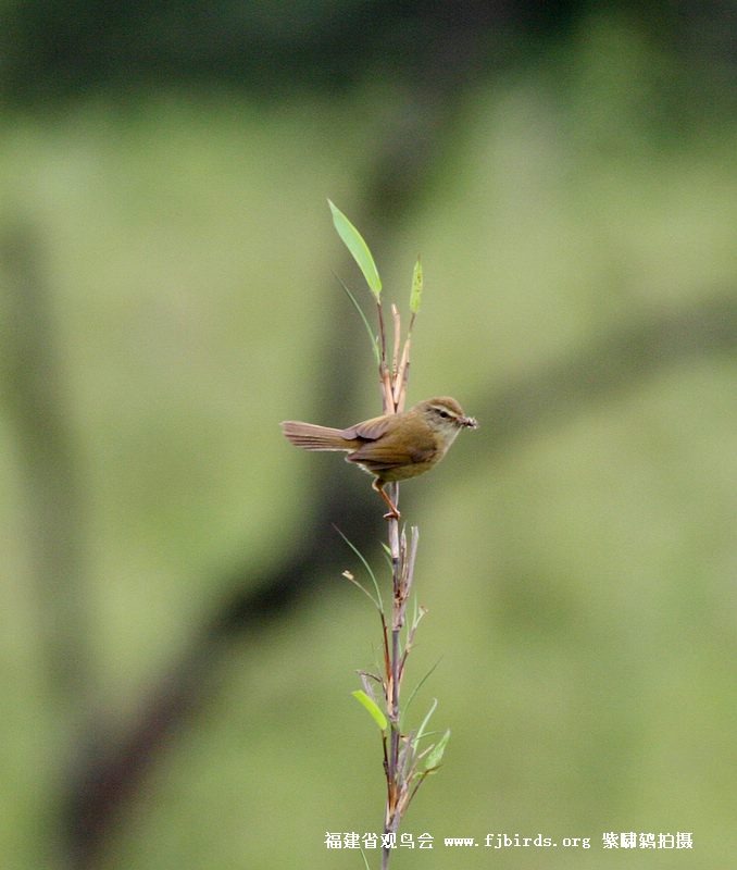 ����˵����ɫ��ݺ