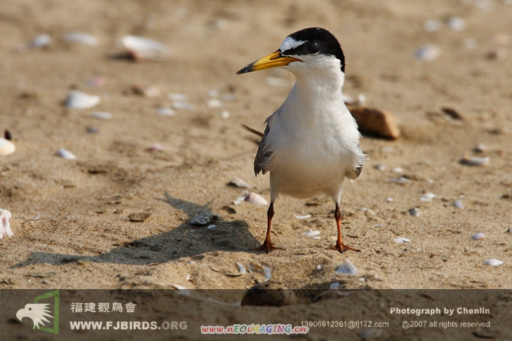 DPP_0014.JPG