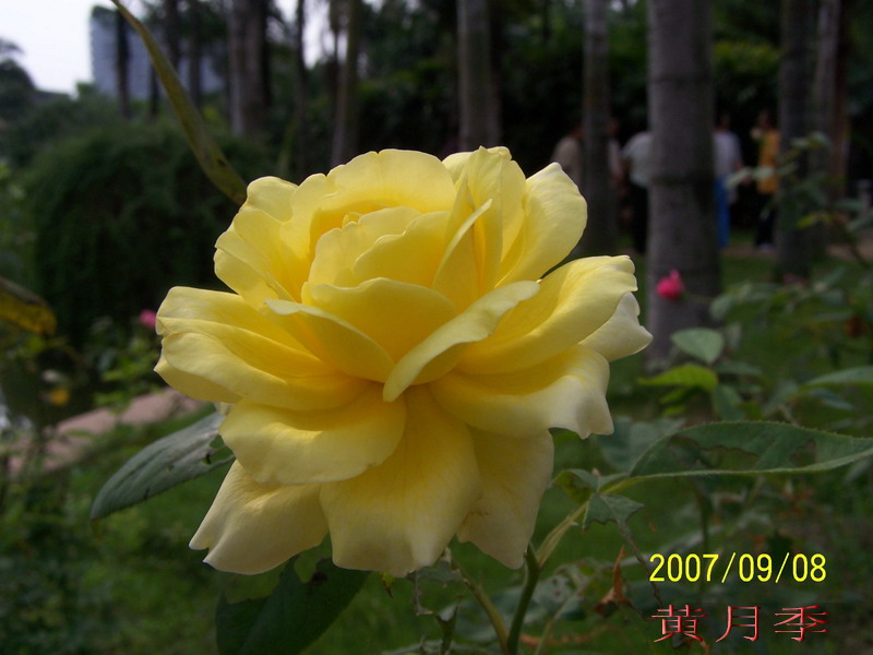 2007.9.8 050.jpg