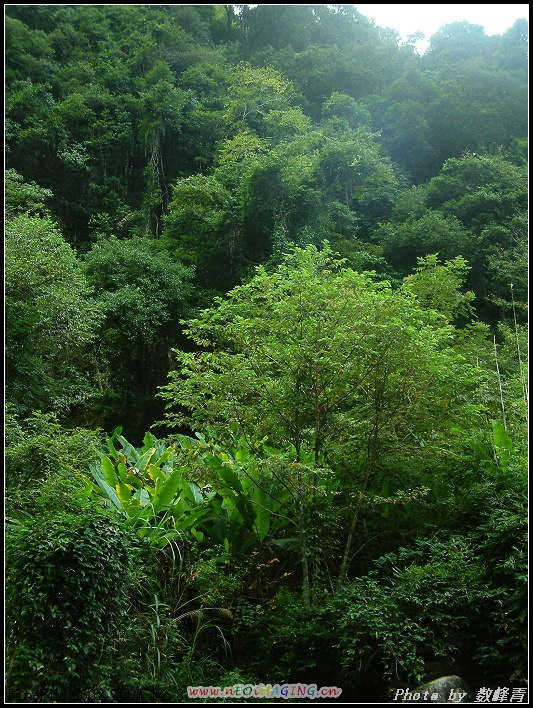 DSCF0121.jpg