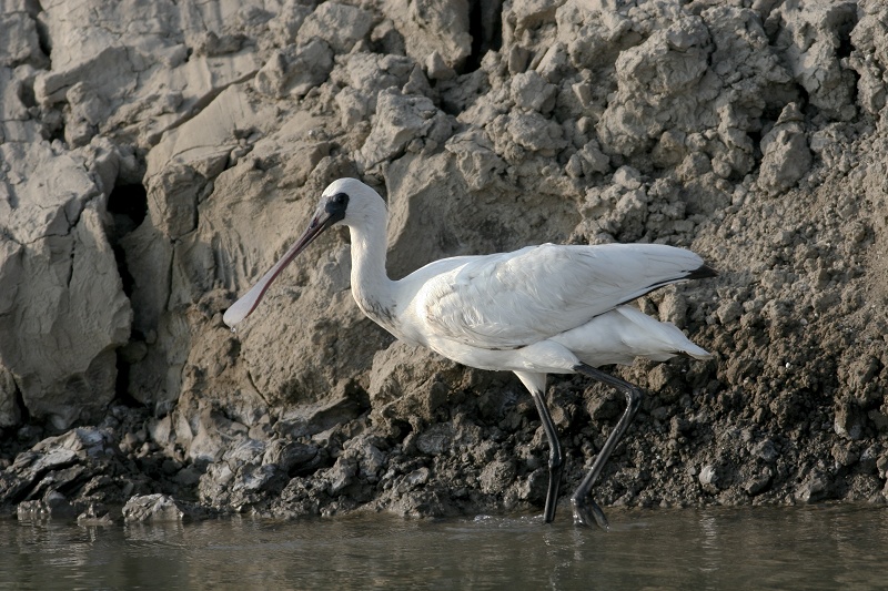 챨IMG_8527.jpg