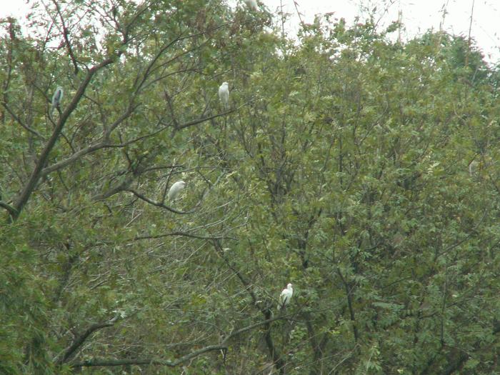 PICT7893.JPG
