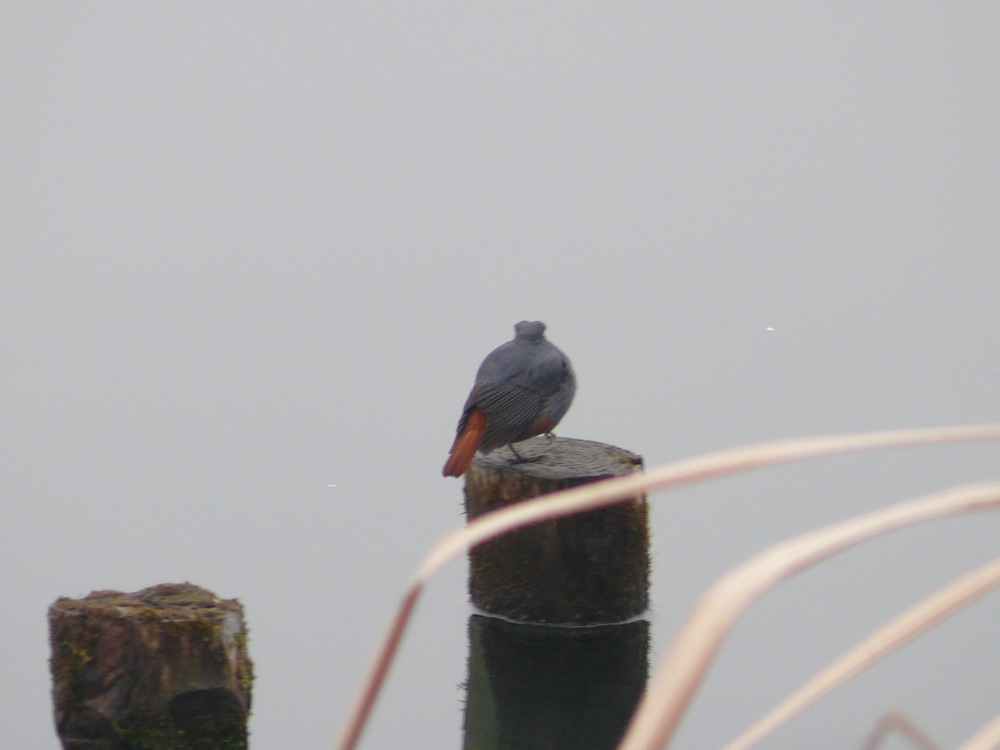 P1010647.jpg