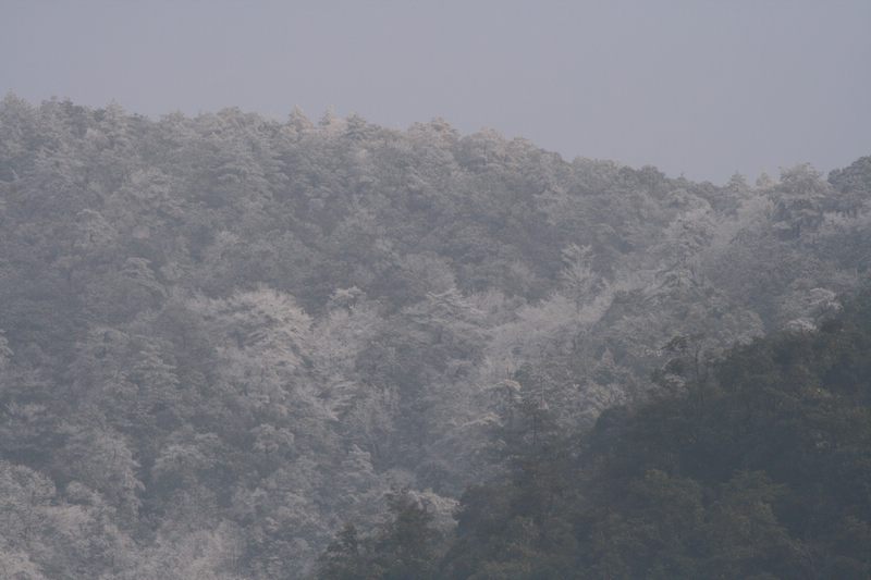 Զɽ�����Ǳ�ѩ�����컹��ʲô��ϲ�أ�