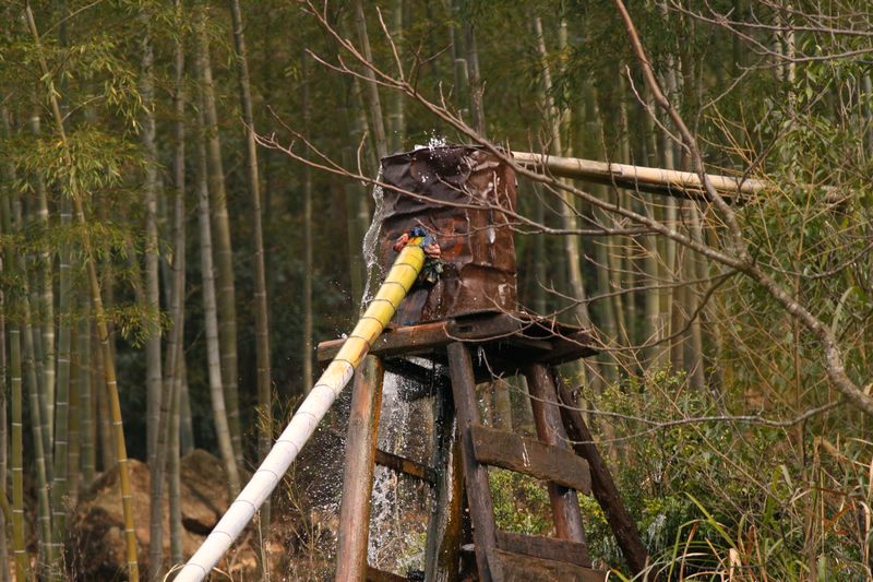 ɽ���˼ҵ�ˮ��