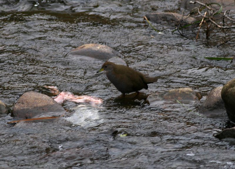 �������Ͽ���