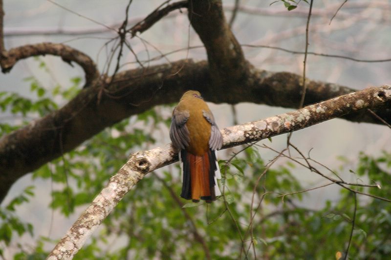 һ���žͿ�����