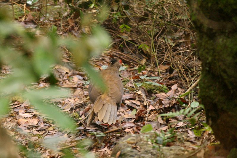 ���Ψһ�ļ�¼����Ϊ�й�����������·����һֱ���ڹ�ľ���£�̫����