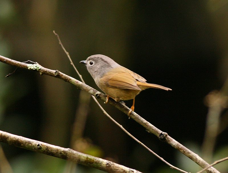 ��ע���������ȣ��͸��ݿ��Ĳ�һ��