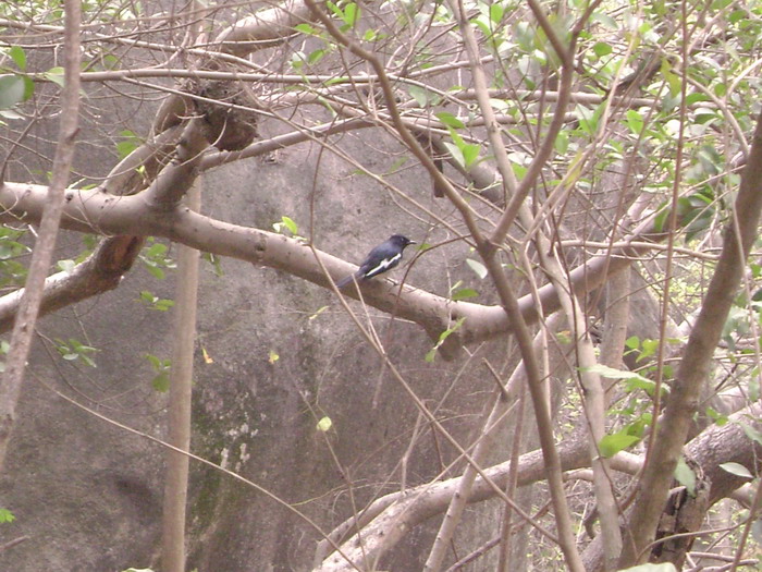 DSC01497.jpg