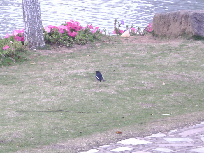 DSC01532.jpg
