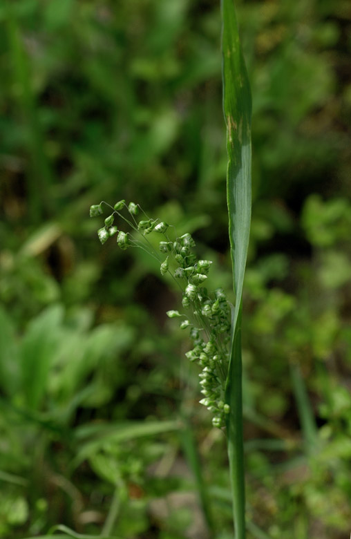 DSC_2098���Ǻ̱�.jpg