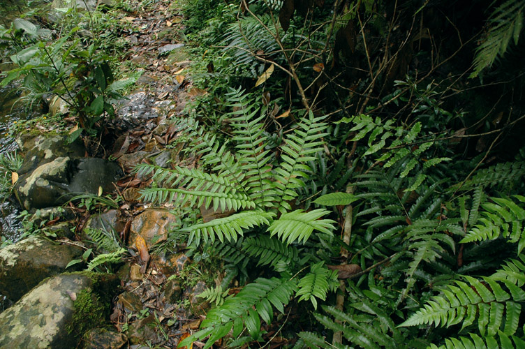 DSC_2912С.jpg