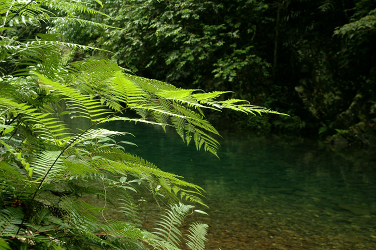 DSC_2913��ˮ��.jpg