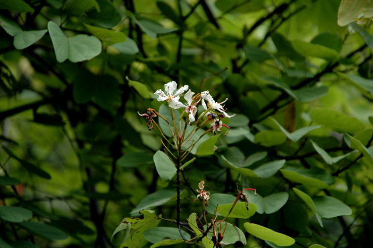 DSC_2941ȫ.jpg