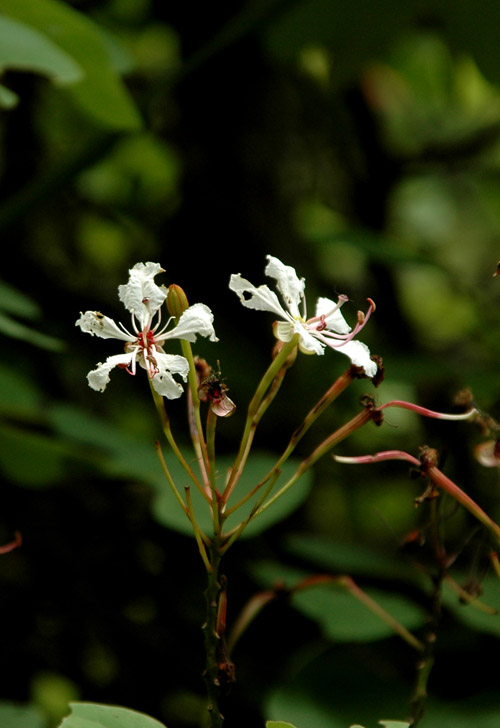 DSC_2943С.jpg