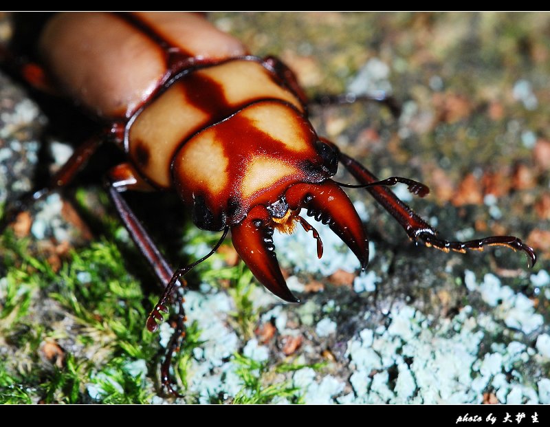 DSC_0092a.jpg