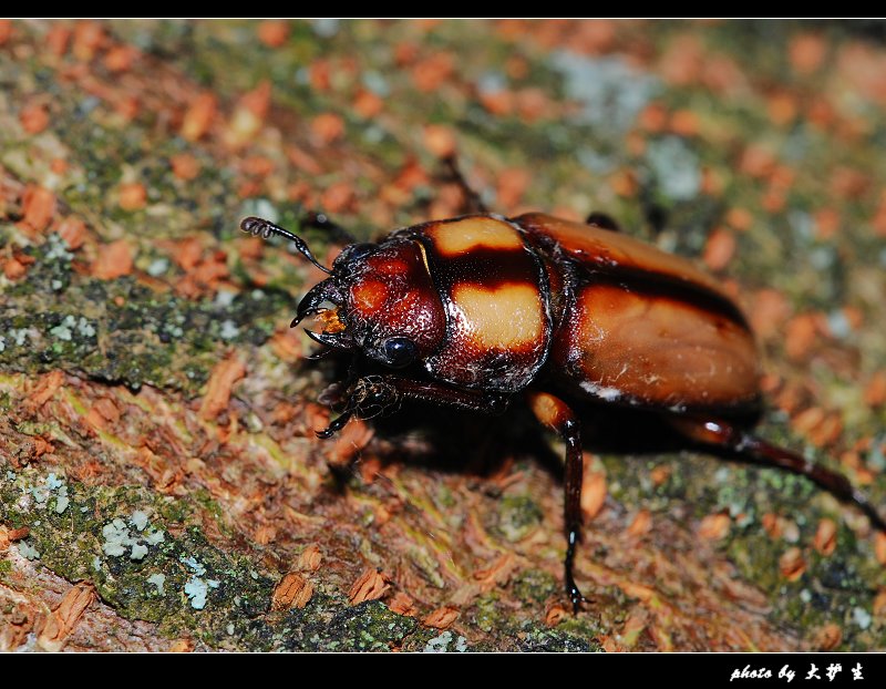 DSC_0149a.jpg