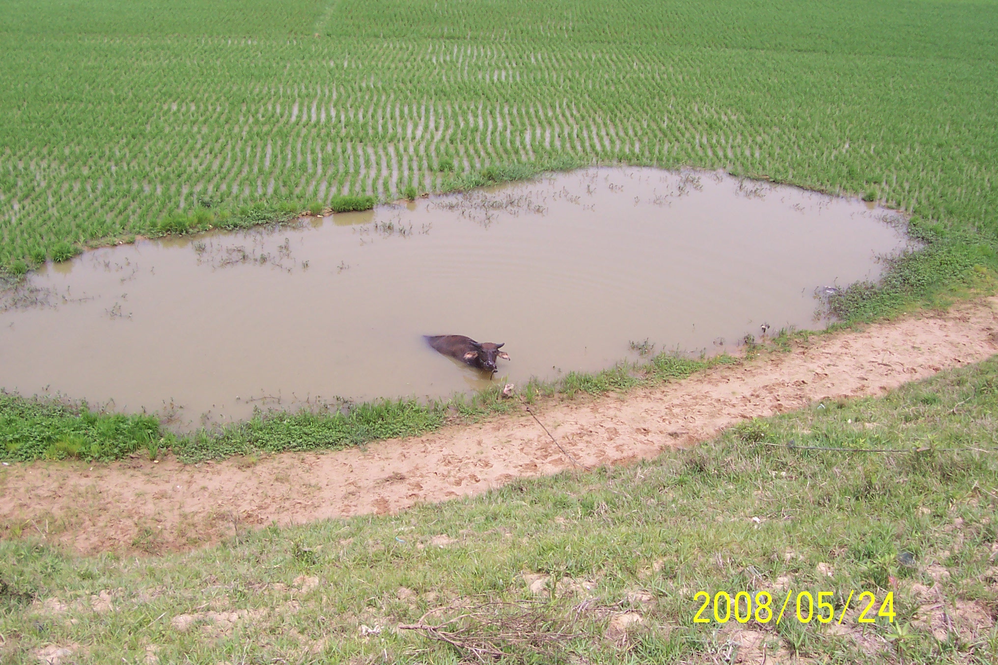 100_7269.jpg