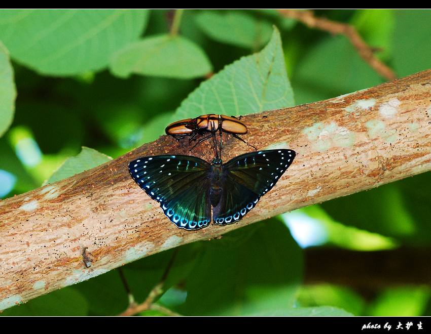 DSC_0059a.jpg