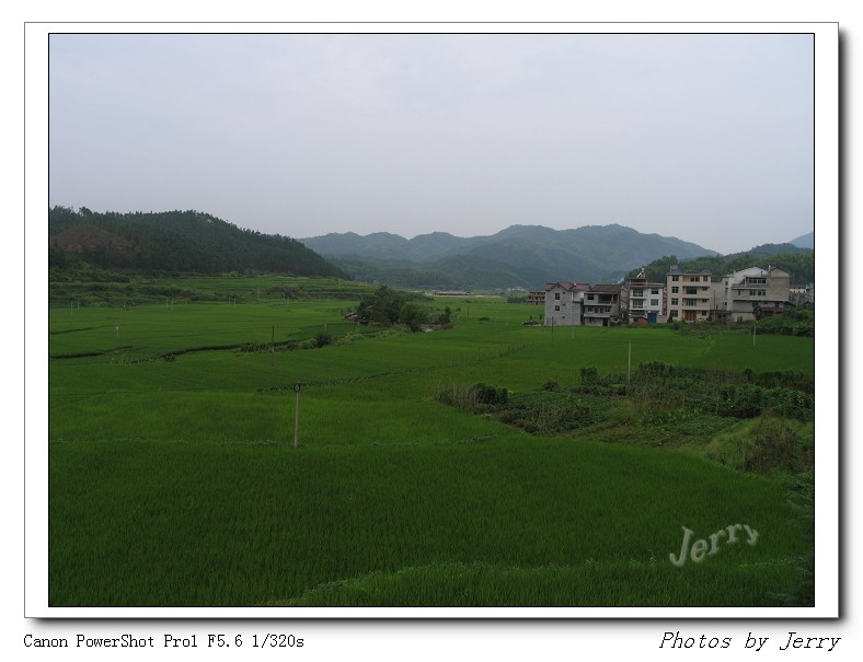IMG_8595.jpg