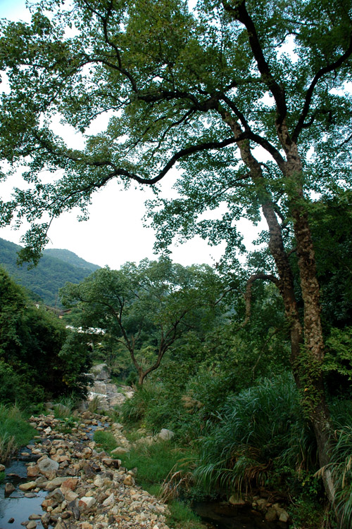DSC_5176.JPG