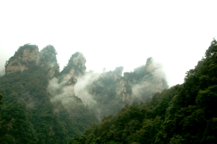 DSC_6204.JPG