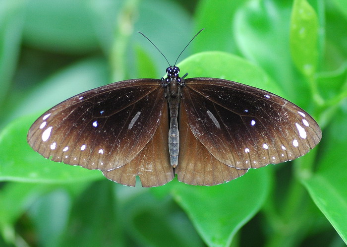 DSC_0346.jpg