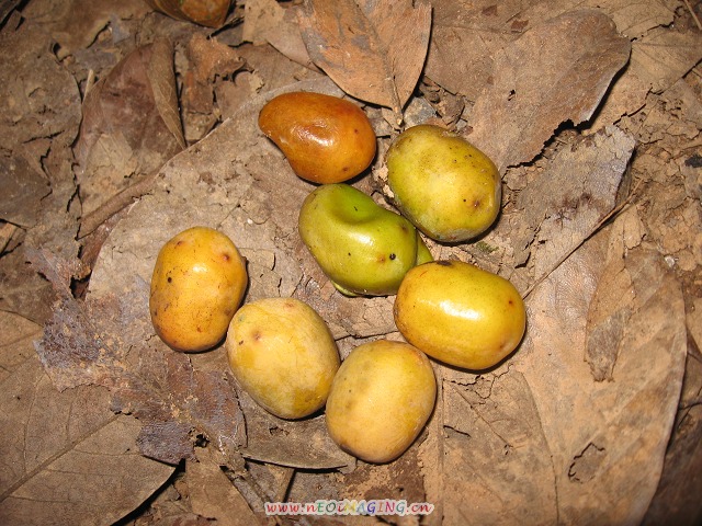 ��صĹ�ʵ--����.jpg