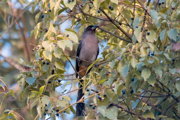 DSC_8458_��С��С.jpg