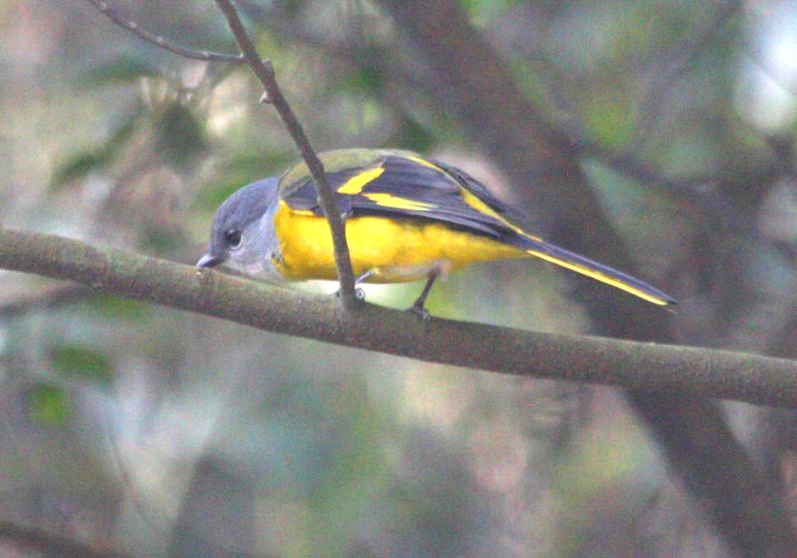 IMG_8737.jpg